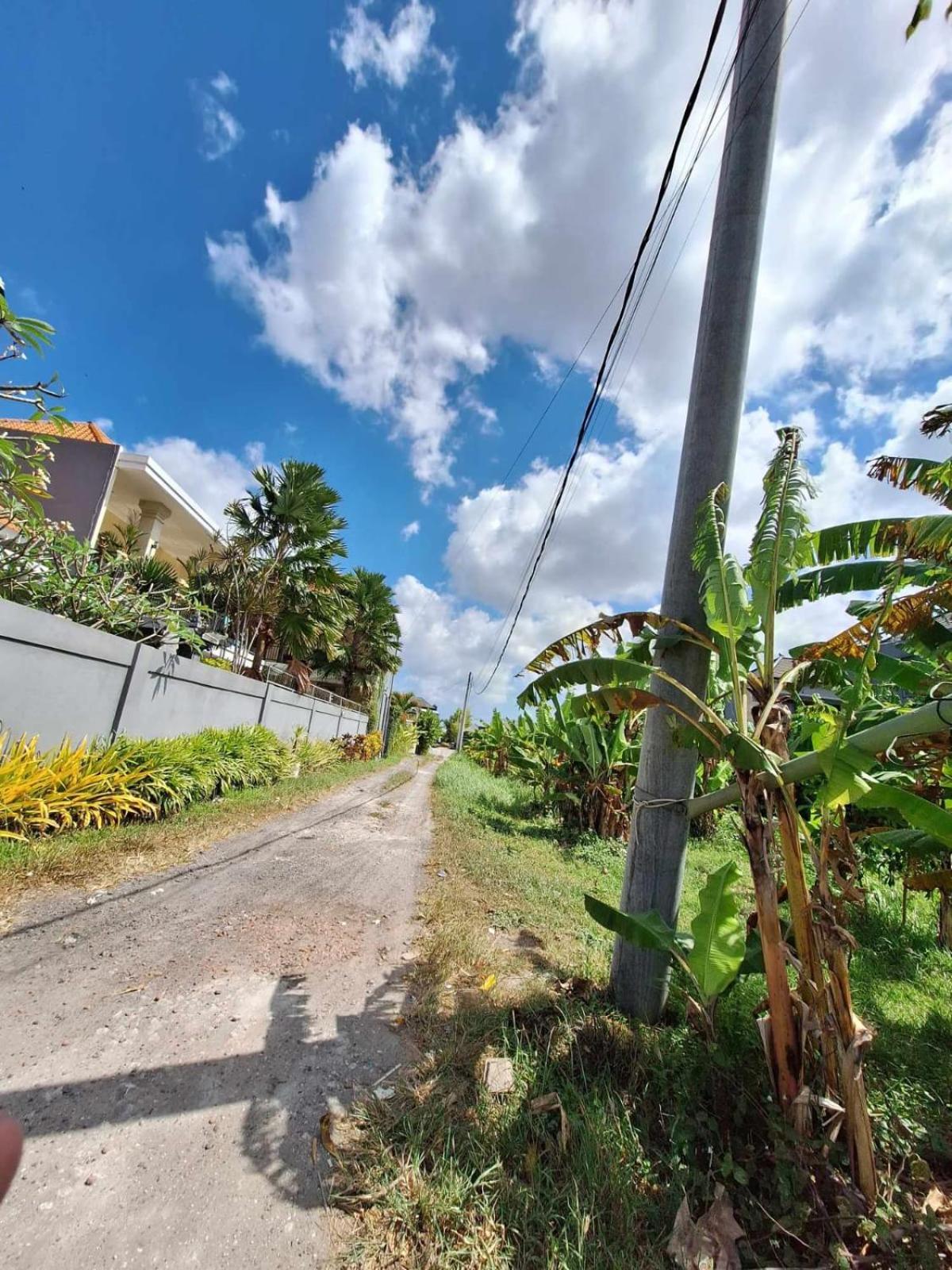 Bonewood Guesthouse Canggu Zewnętrze zdjęcie
