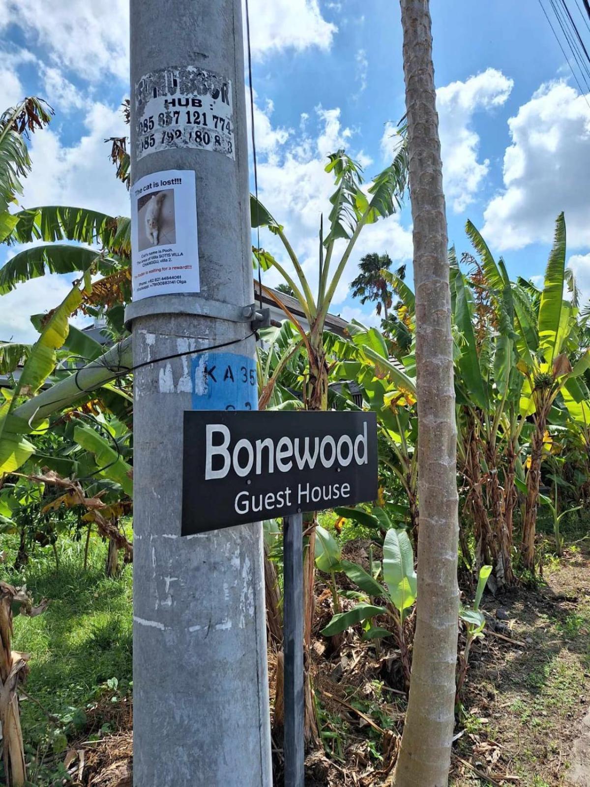 Bonewood Guesthouse Canggu Zewnętrze zdjęcie